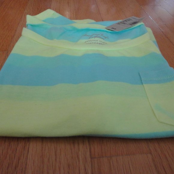 American Eagle Feather Light green/blue stripe tee - Picture 2 of 8